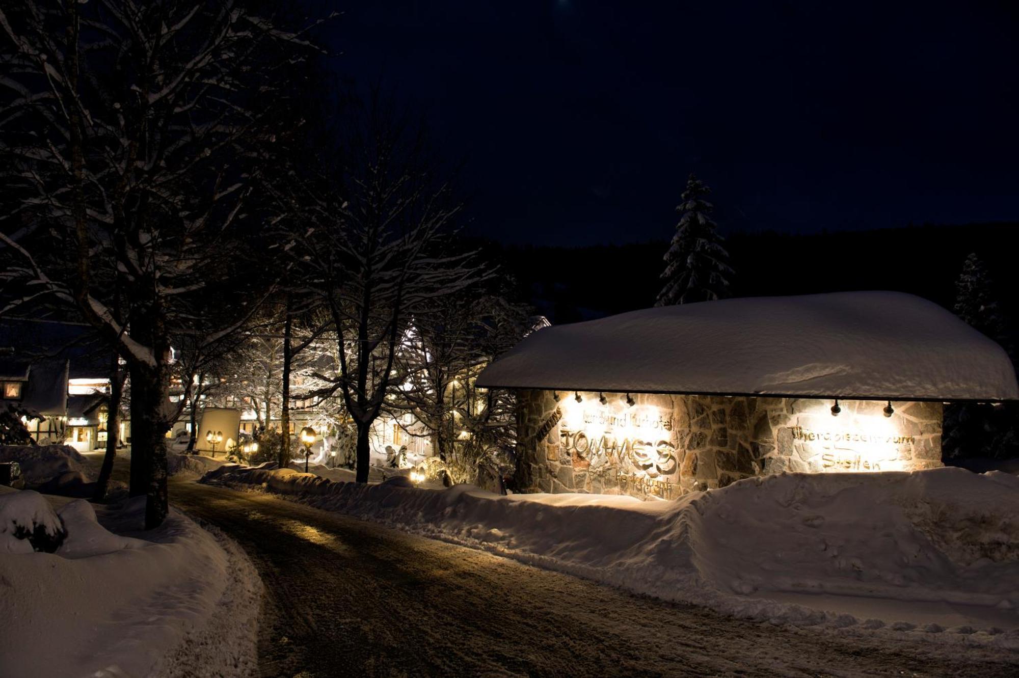 Land- Und Kurhotel Tommes Nordenau Kültér fotó